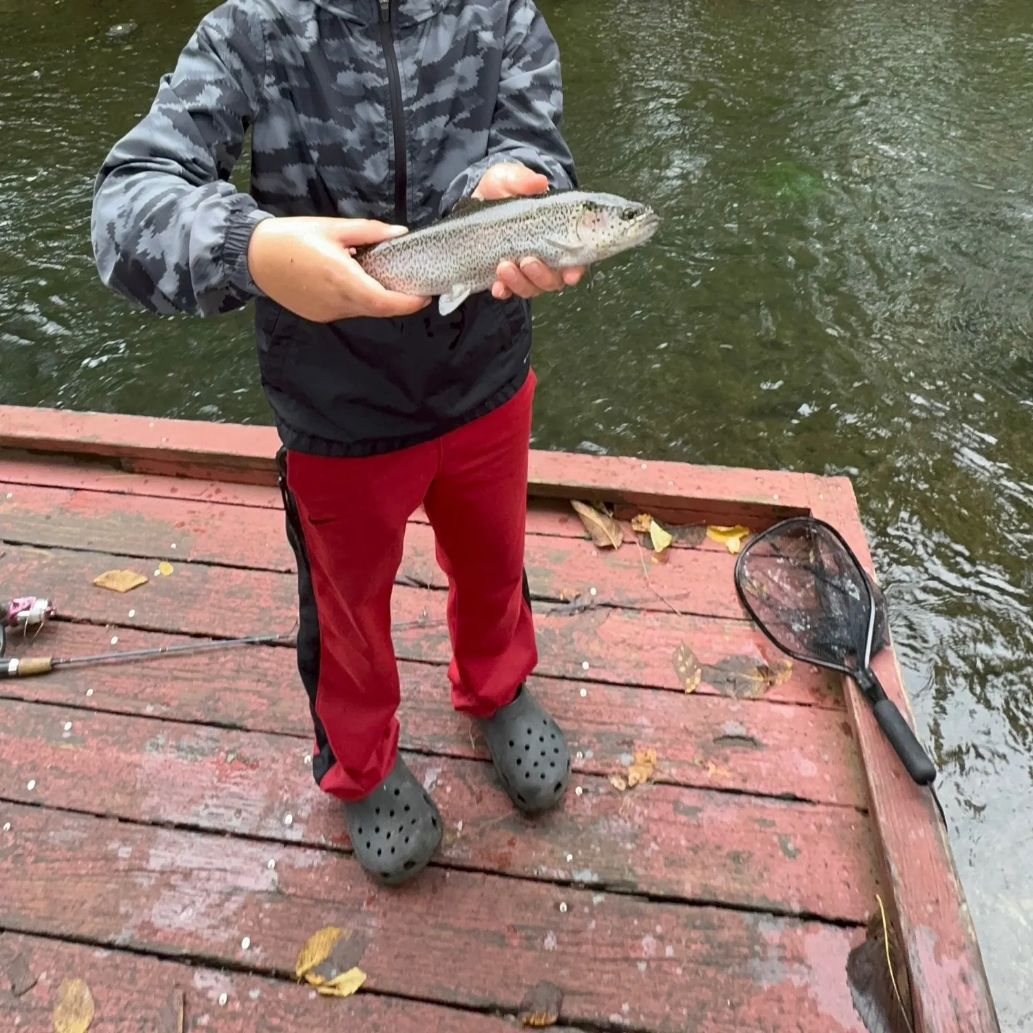 Fish caught on Fishbrain