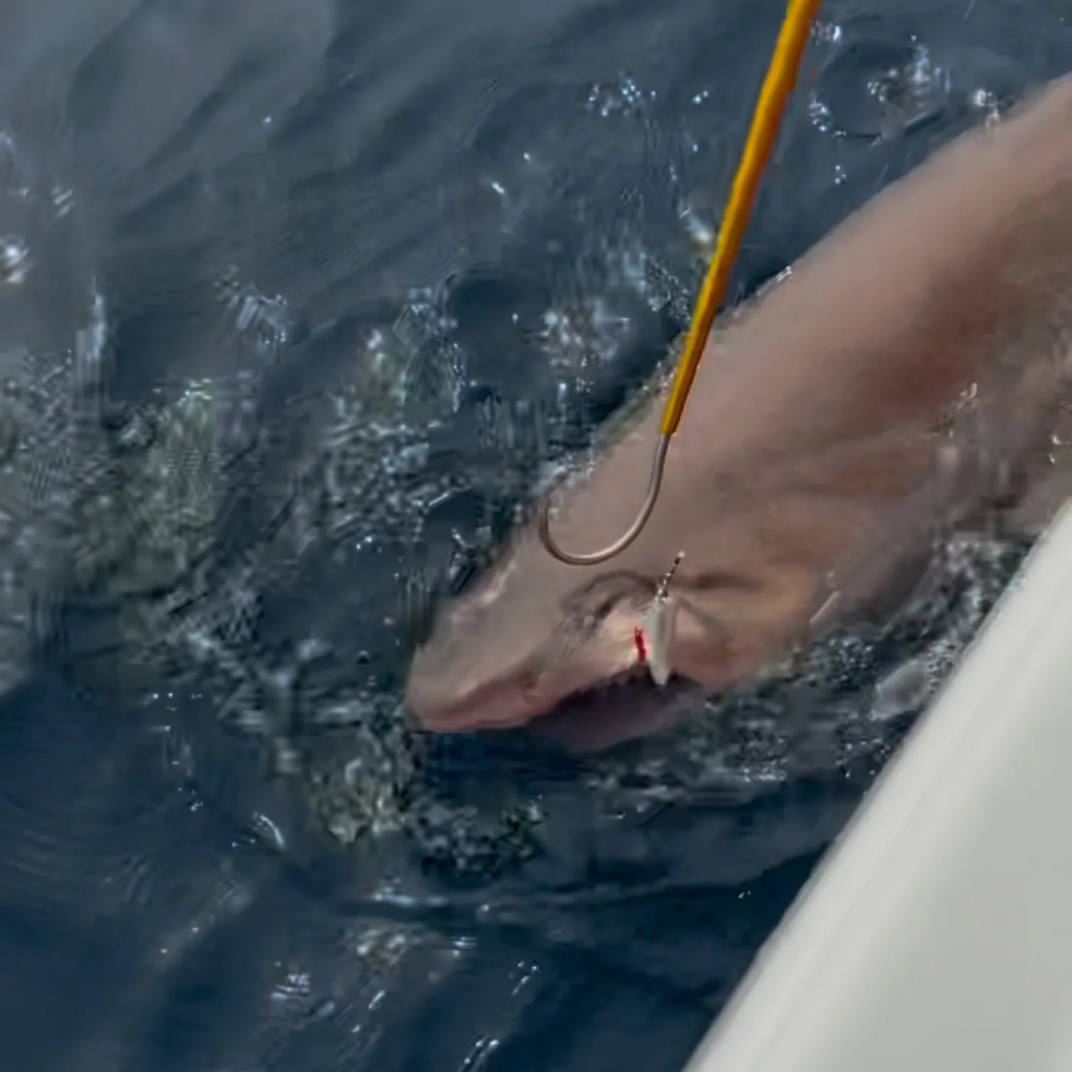 most liked catch image