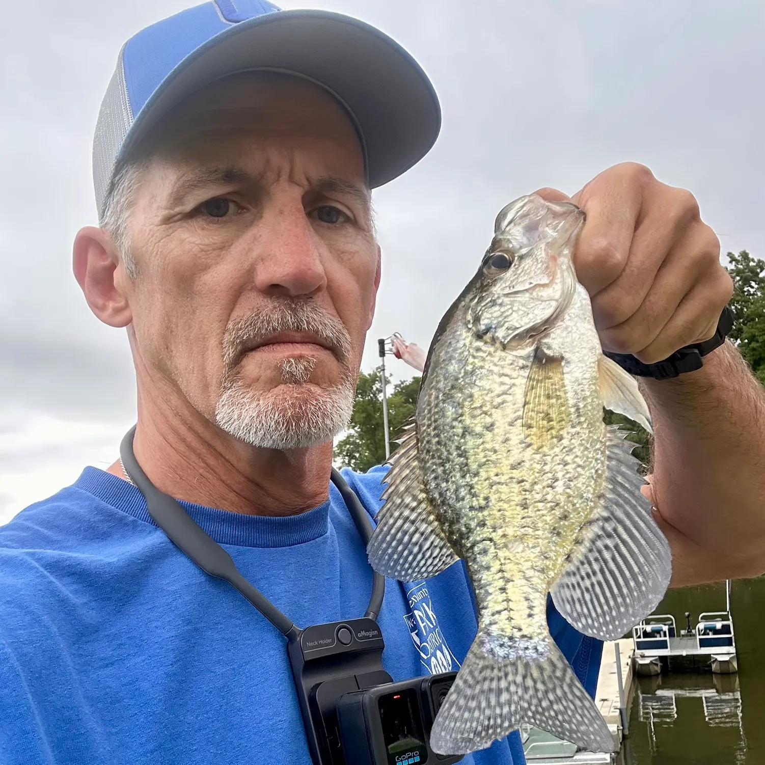 White crappie caught on Fishbrain