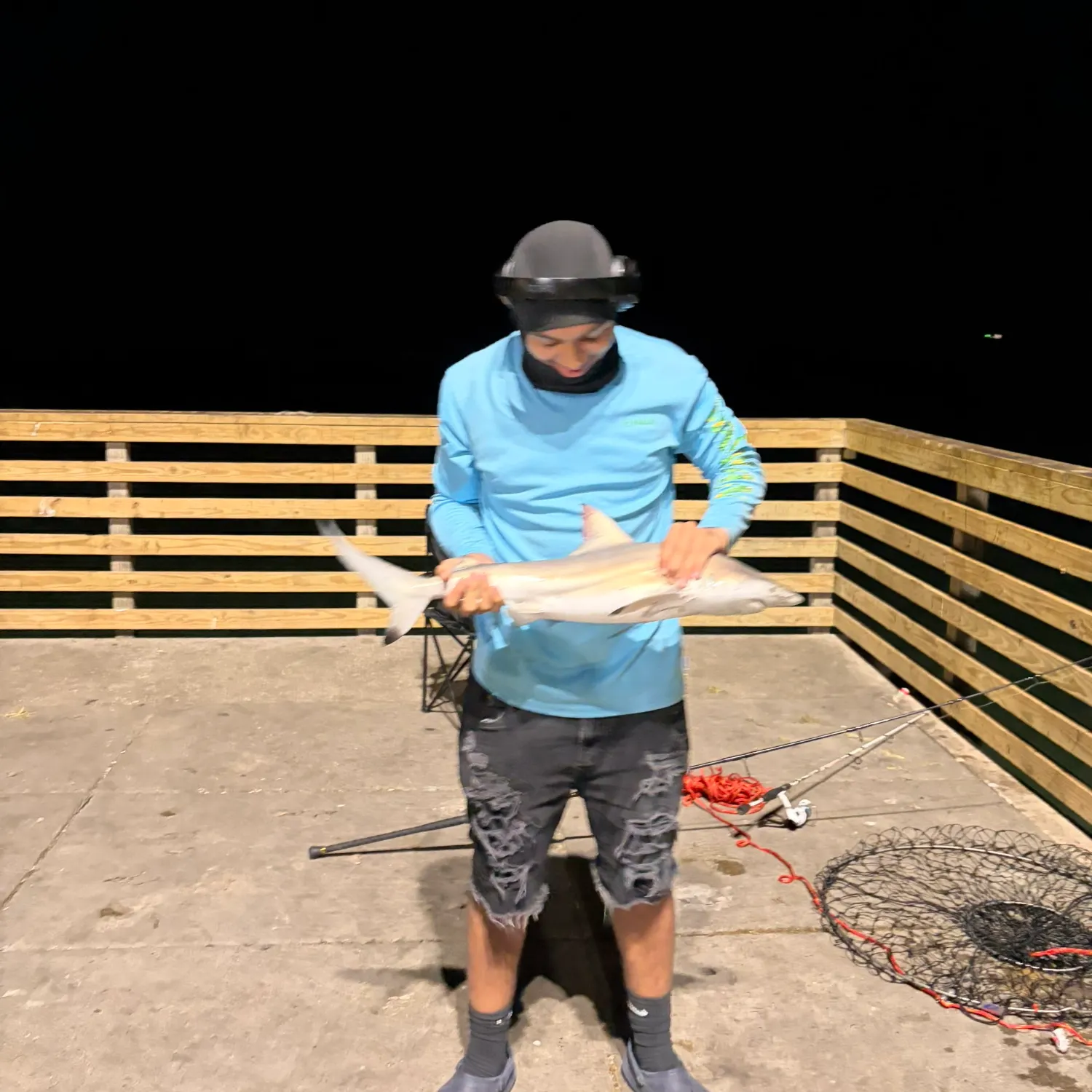 The most recent Blacktip shark catches on Fishbrain