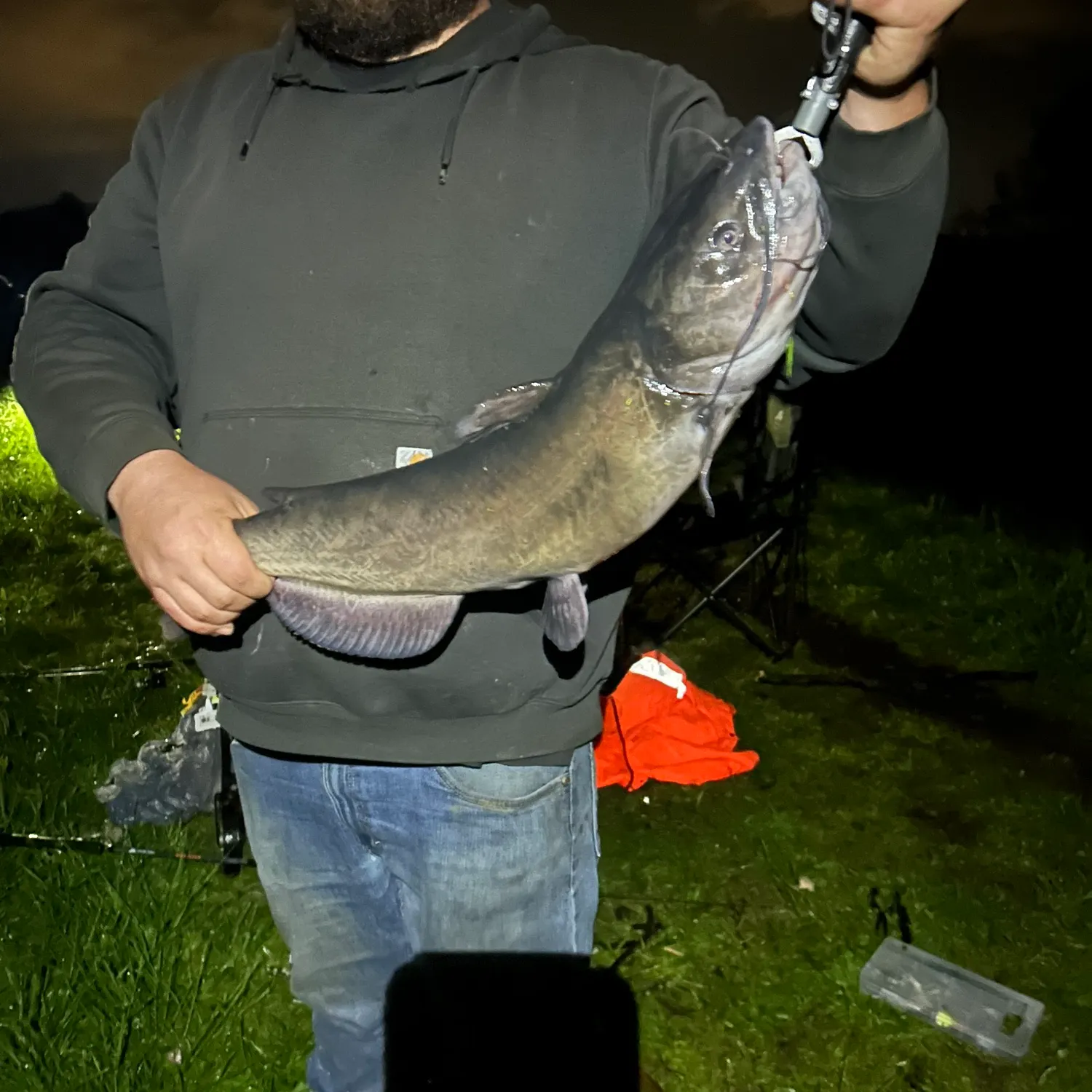 catch