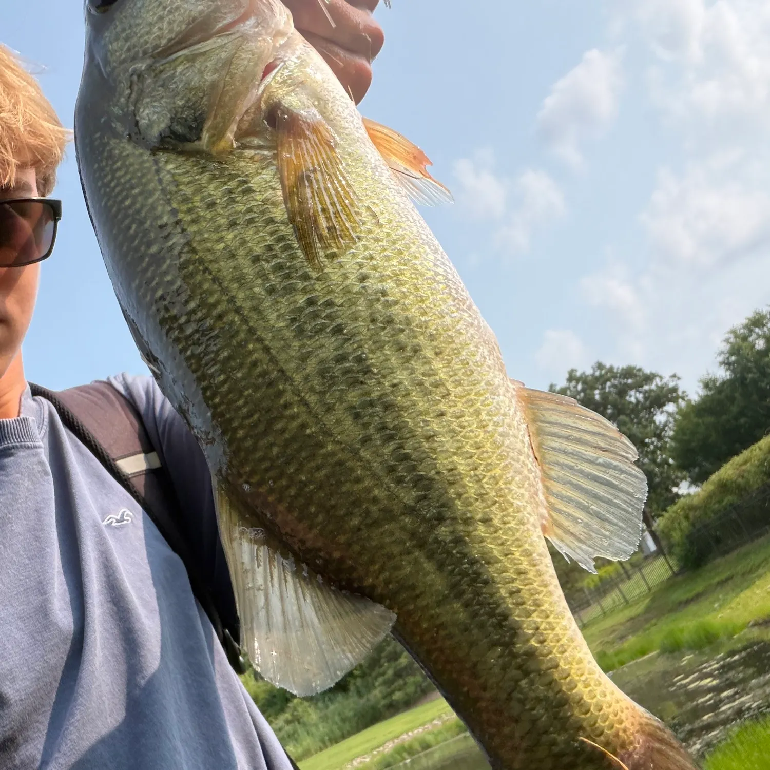 Largemouth bass caught on Fishbrain