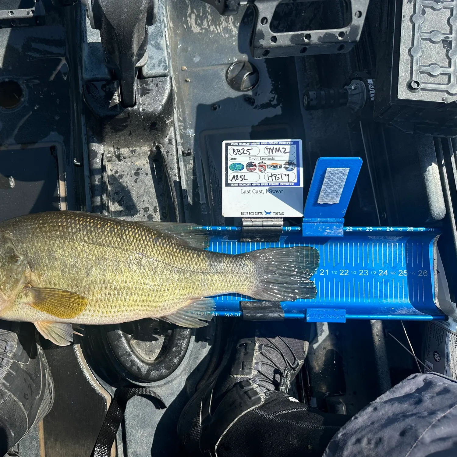 recently logged catches