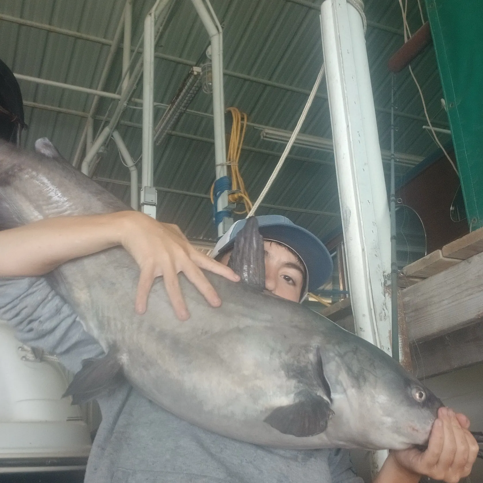Channel catfish caught on Fishbrain