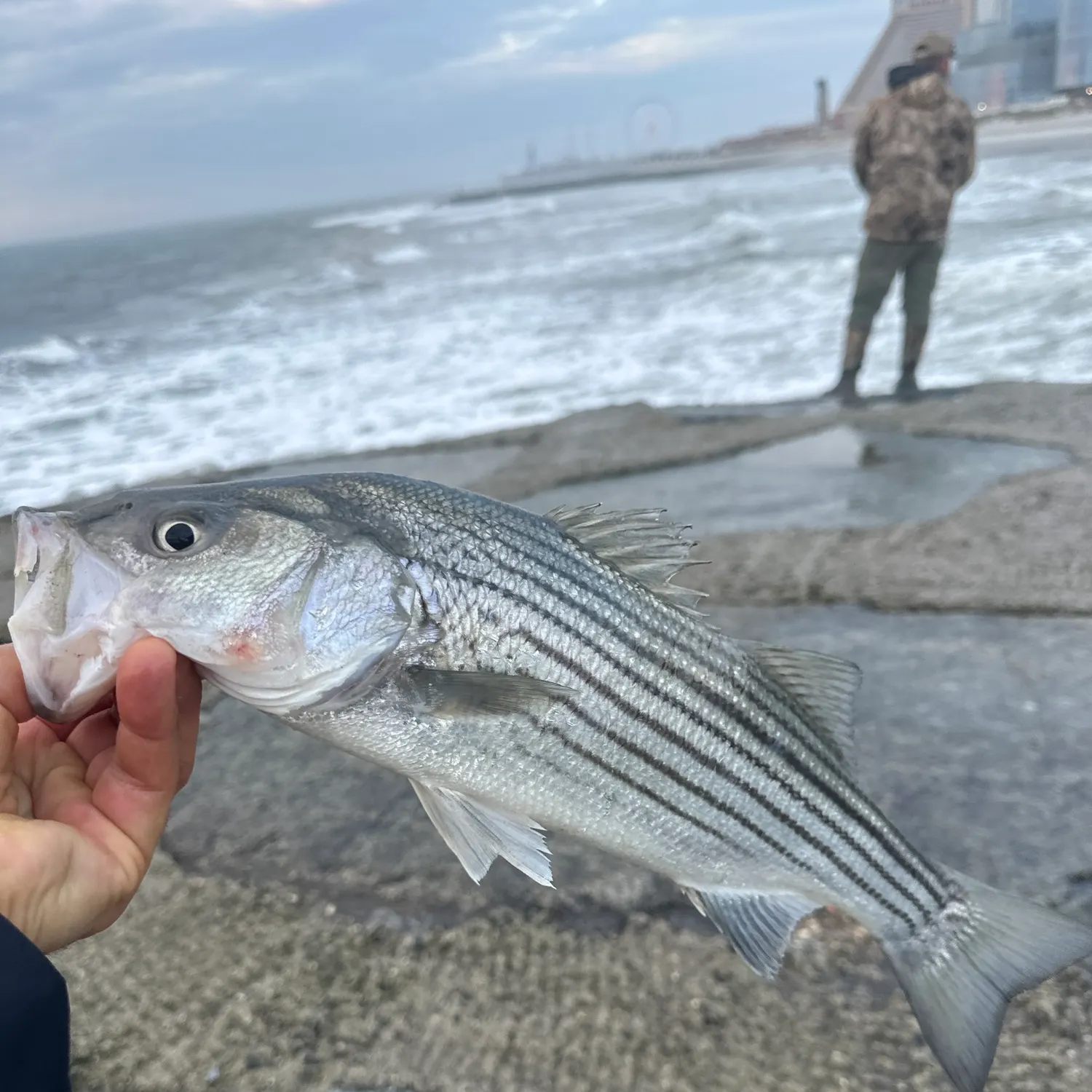 angler catch