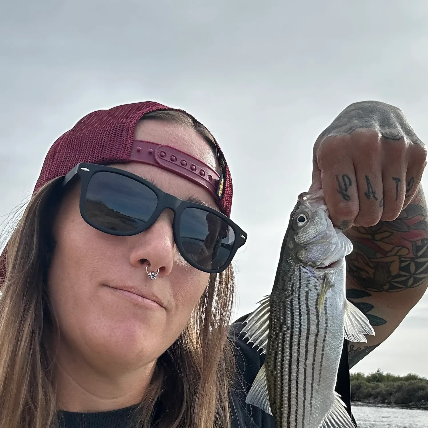 Striped bass caught on Fishbrain