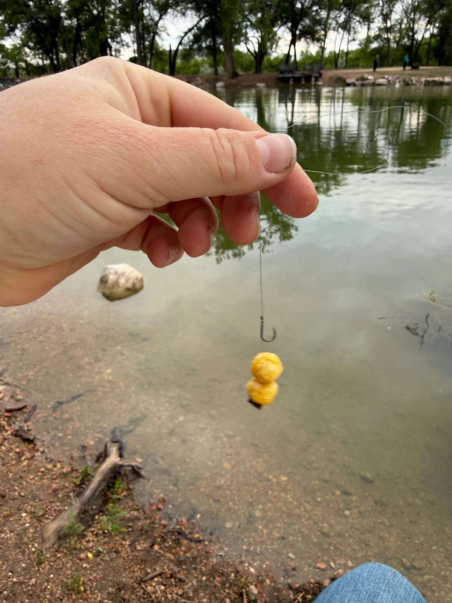 Custom Bait Dough