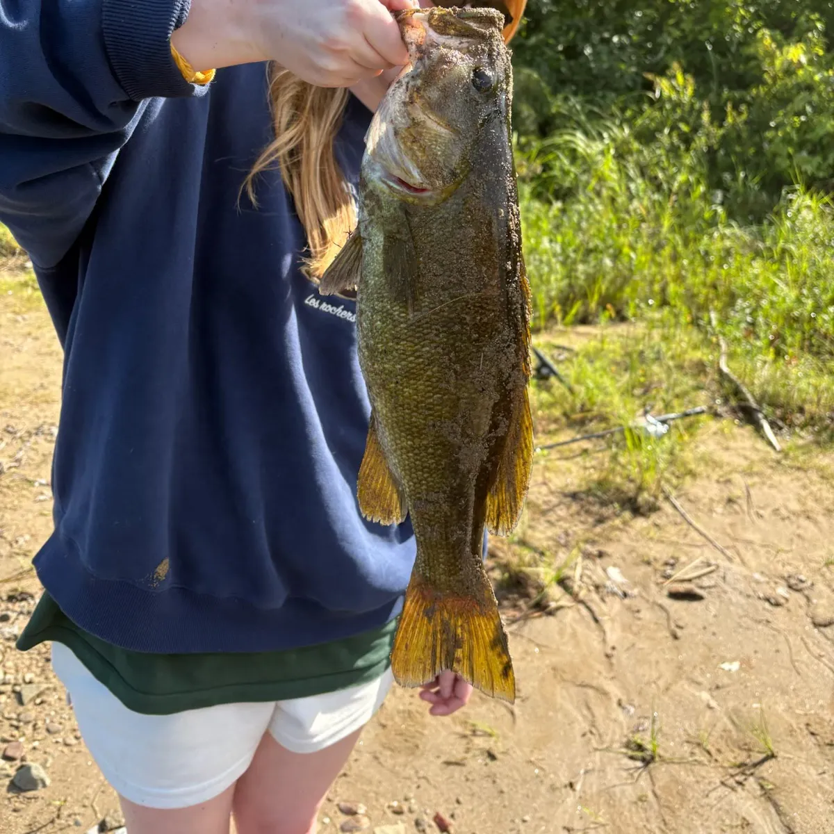 Smallmouth bass caught on Fishbrain
