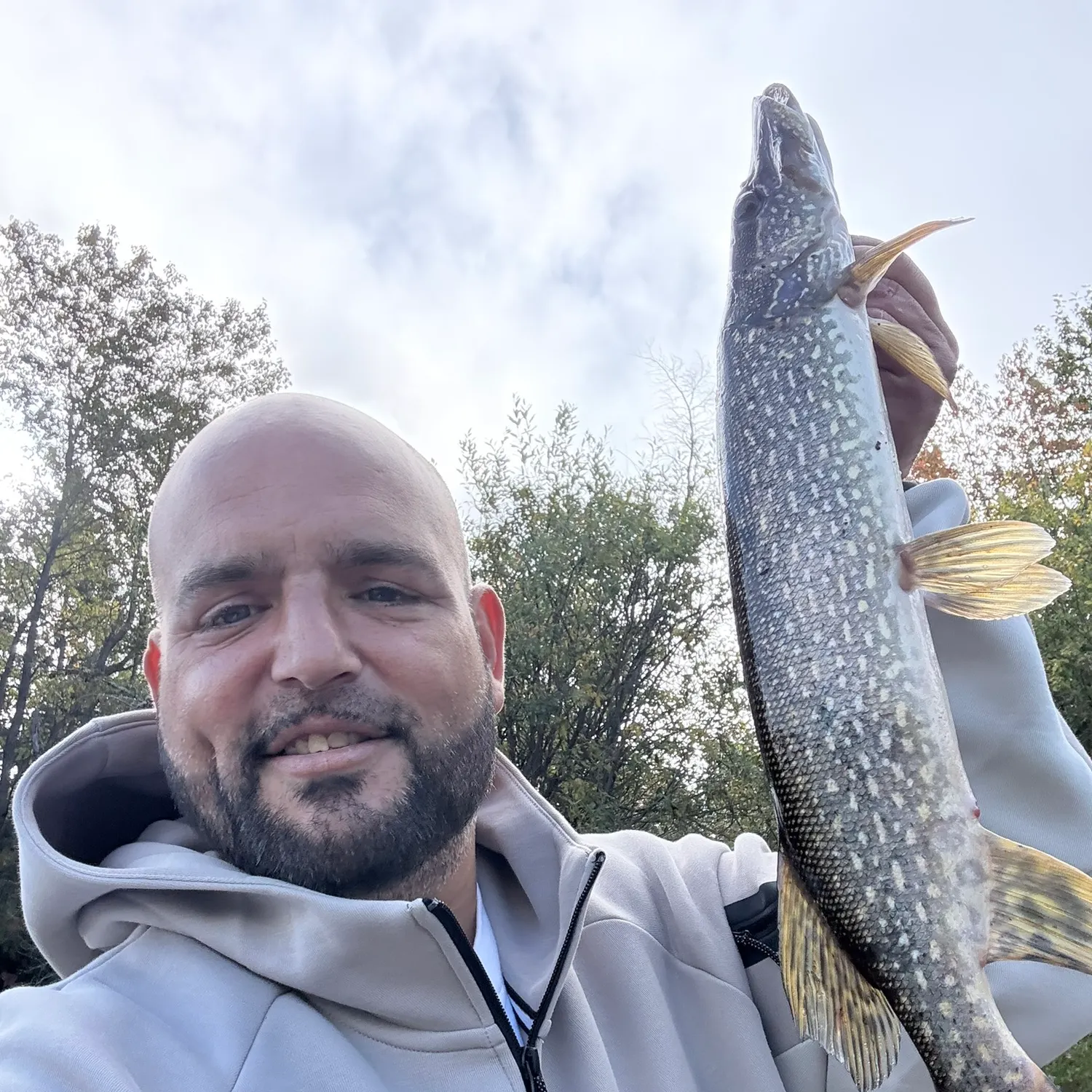 Northern pike caught on Fishbrain