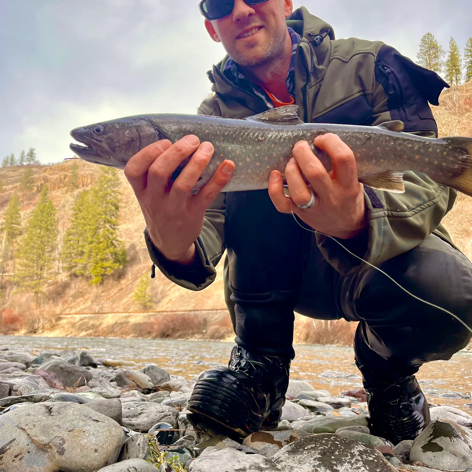 The most recent Bull trout catches on Fishbrain