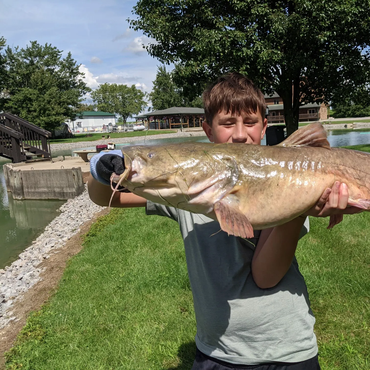 The most recent Flathead catfish catches on Fishbrain