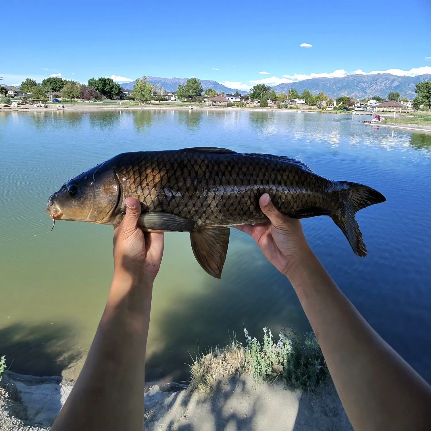 catch