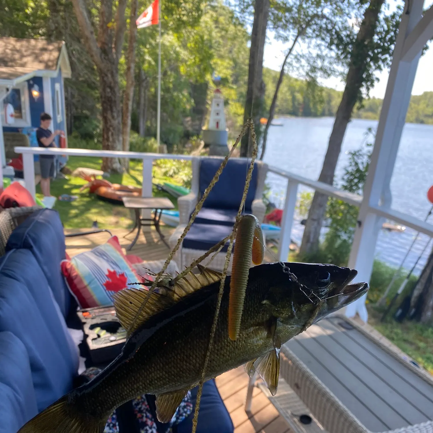 Smallmouth bass caught on Fishbrain