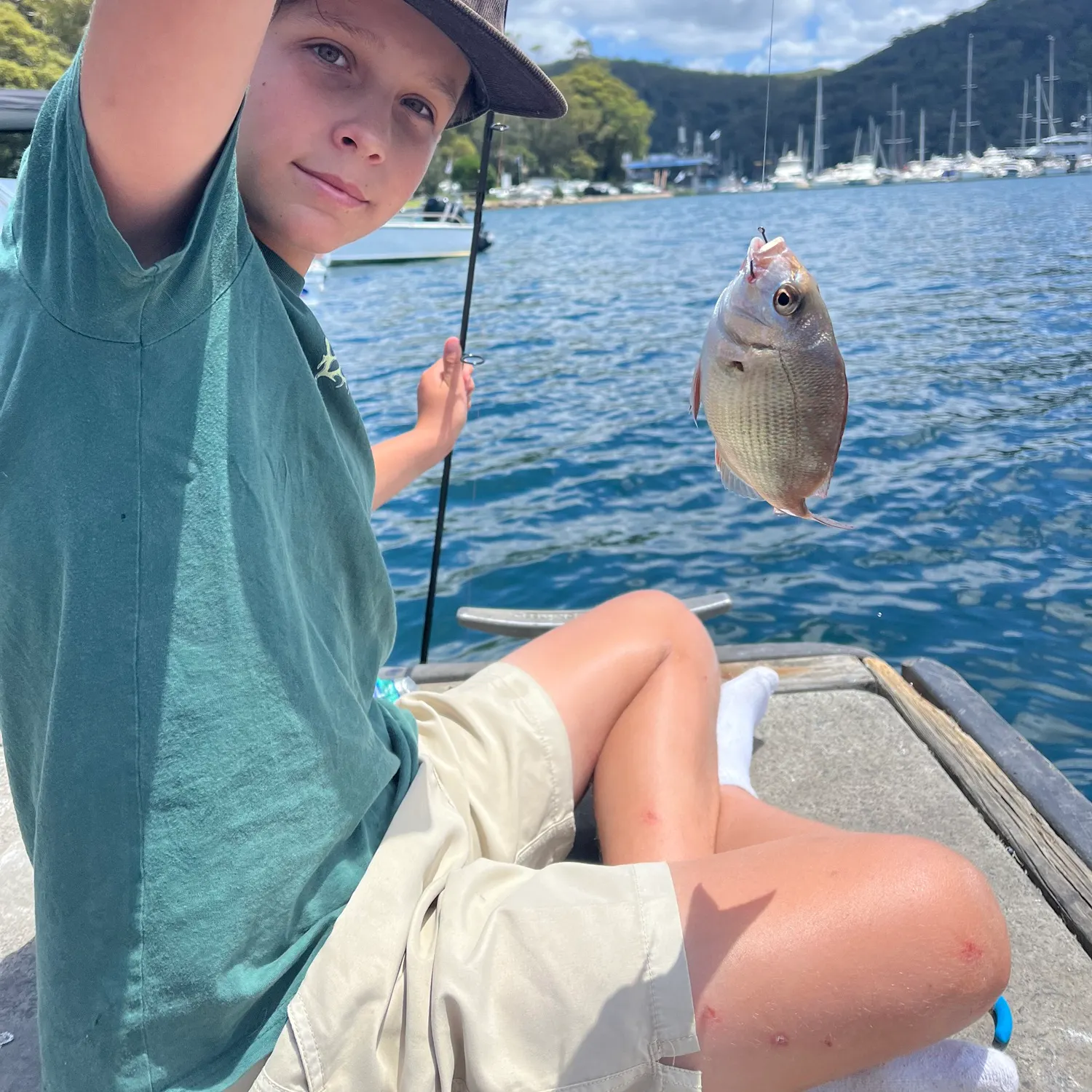 The most recent Australasian snapper catches on Fishbrain