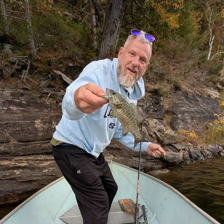 Smallmouth bass caught on Fishbrain