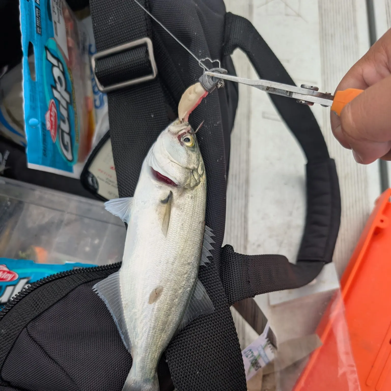 catch