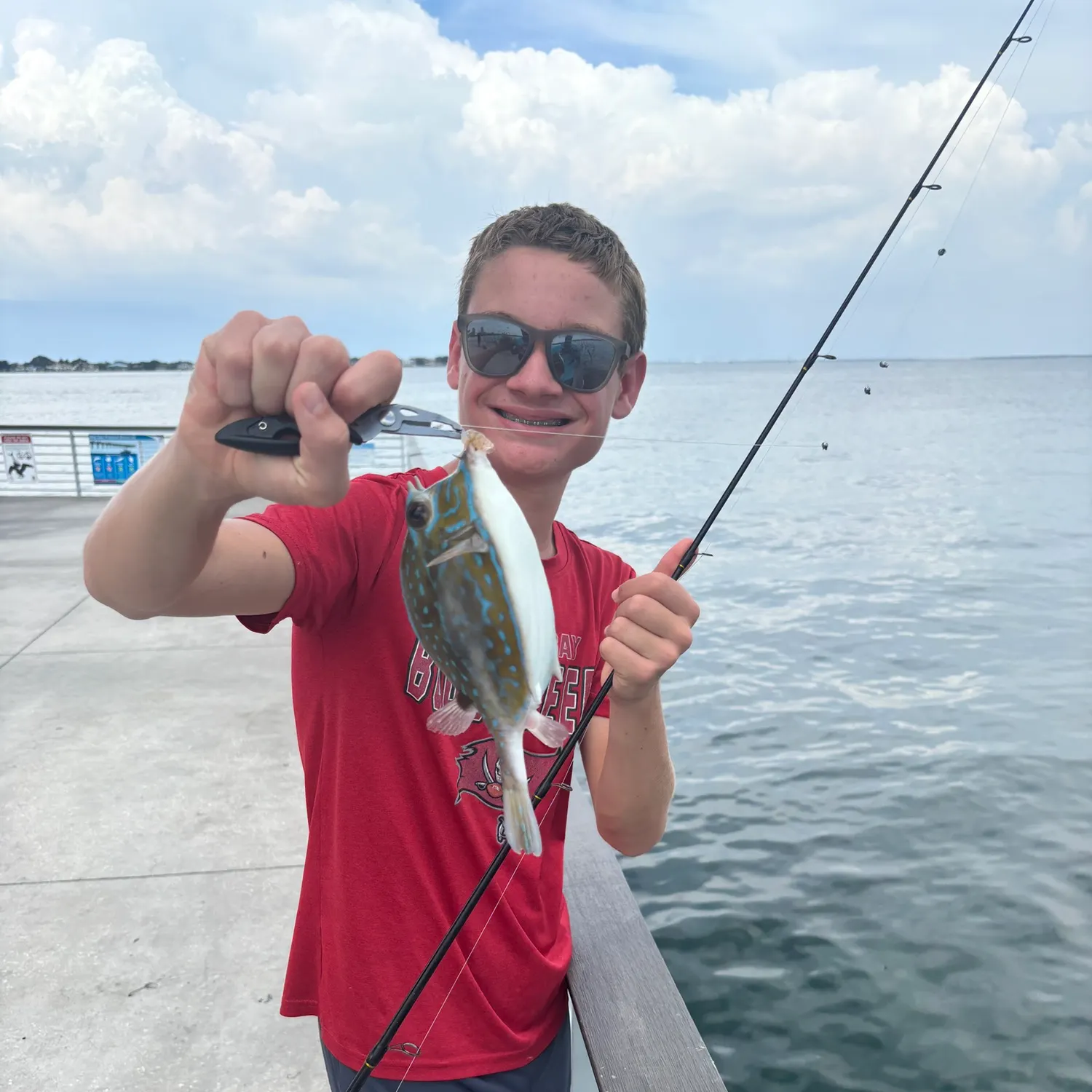 The most recent Scrawled cowfish catches on Fishbrain