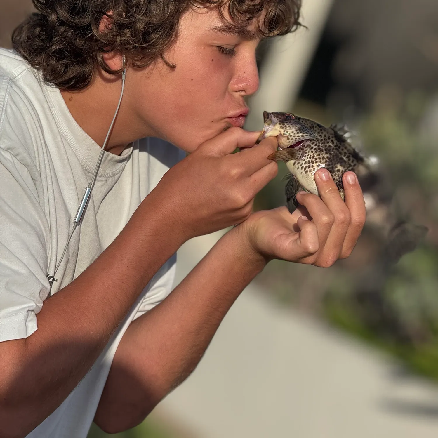 Spotted sand bass caught on Fishbrain