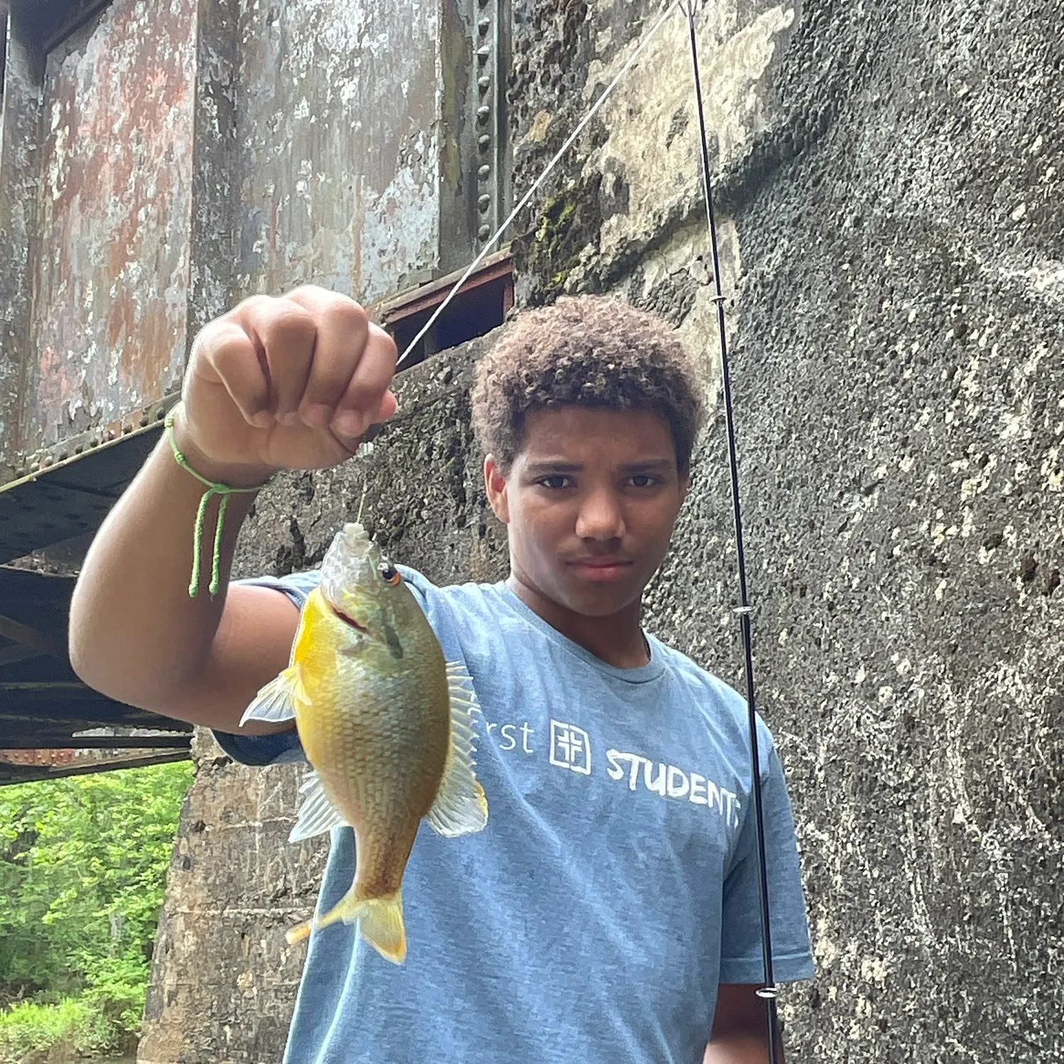 most liked catch image