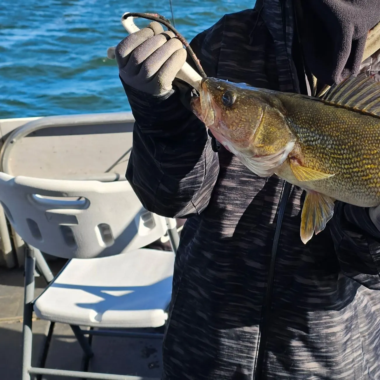 Walleye caught on Fishbrain