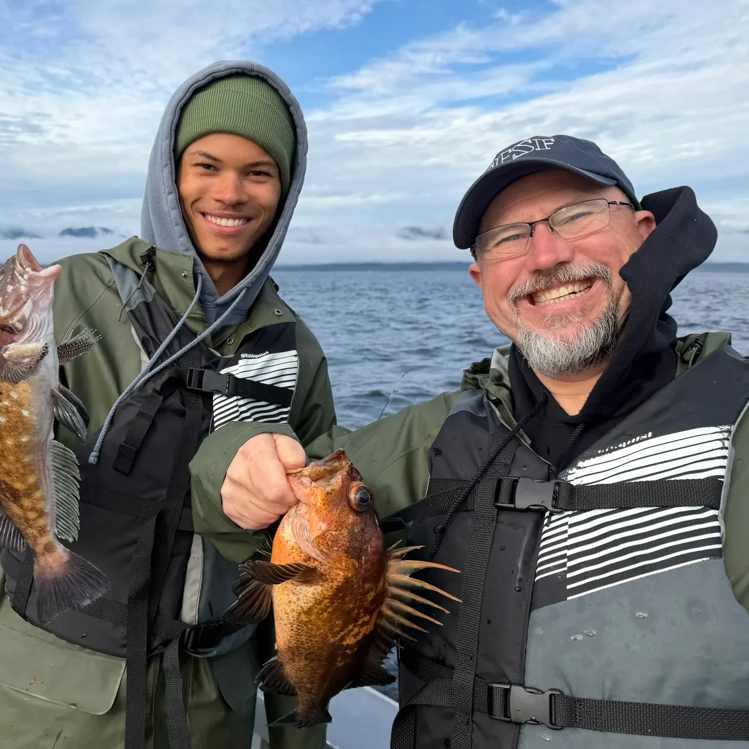 Lingcod caught on Fishbrain