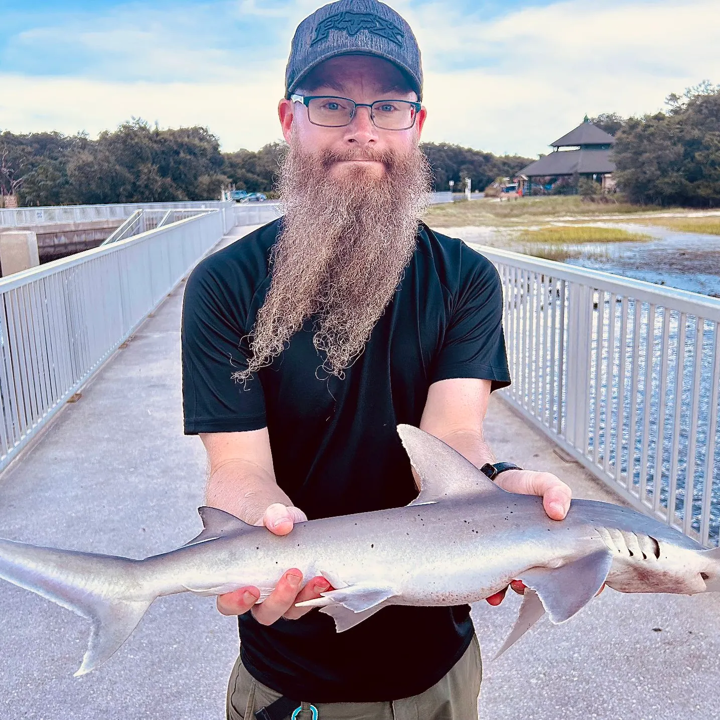 Sandbar shark caught on Fishbrain