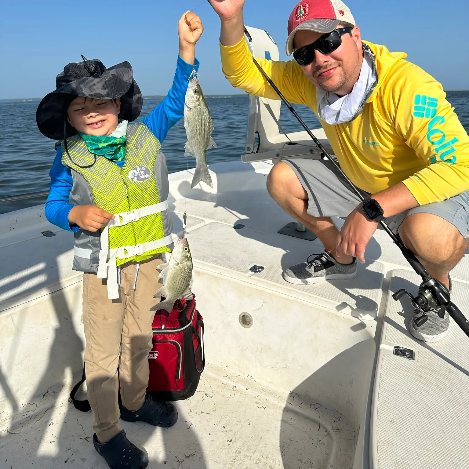 The most recent White bass catches on Fishbrain