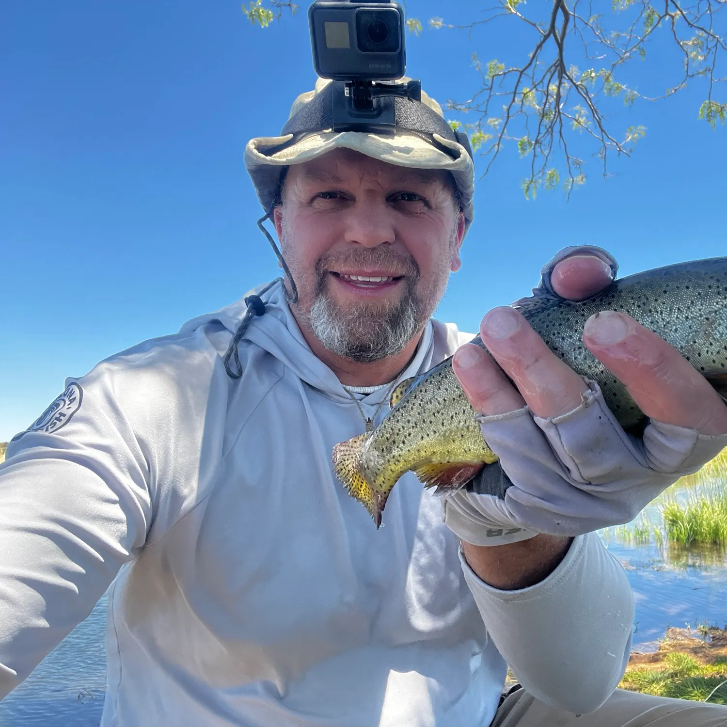 most liked catch image