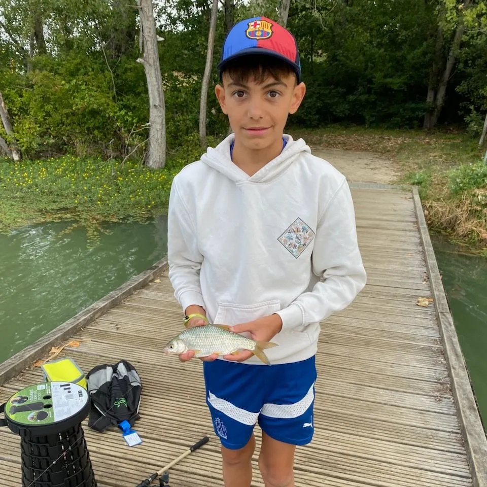 Common roach caught on Fishbrain