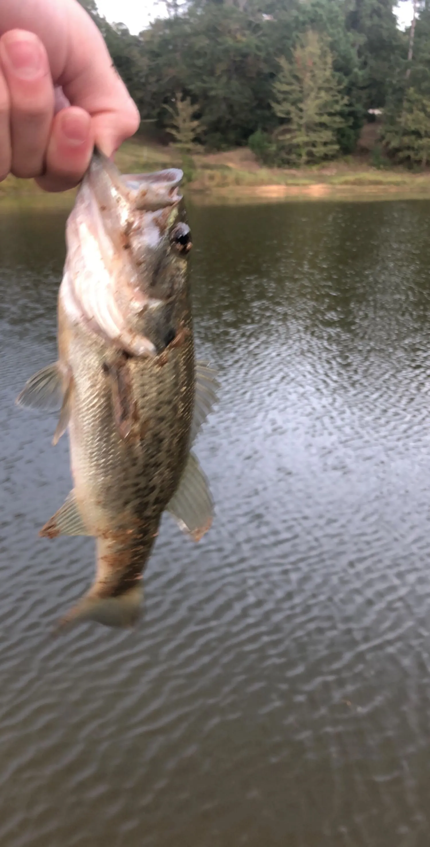 Post image from jacksawyer