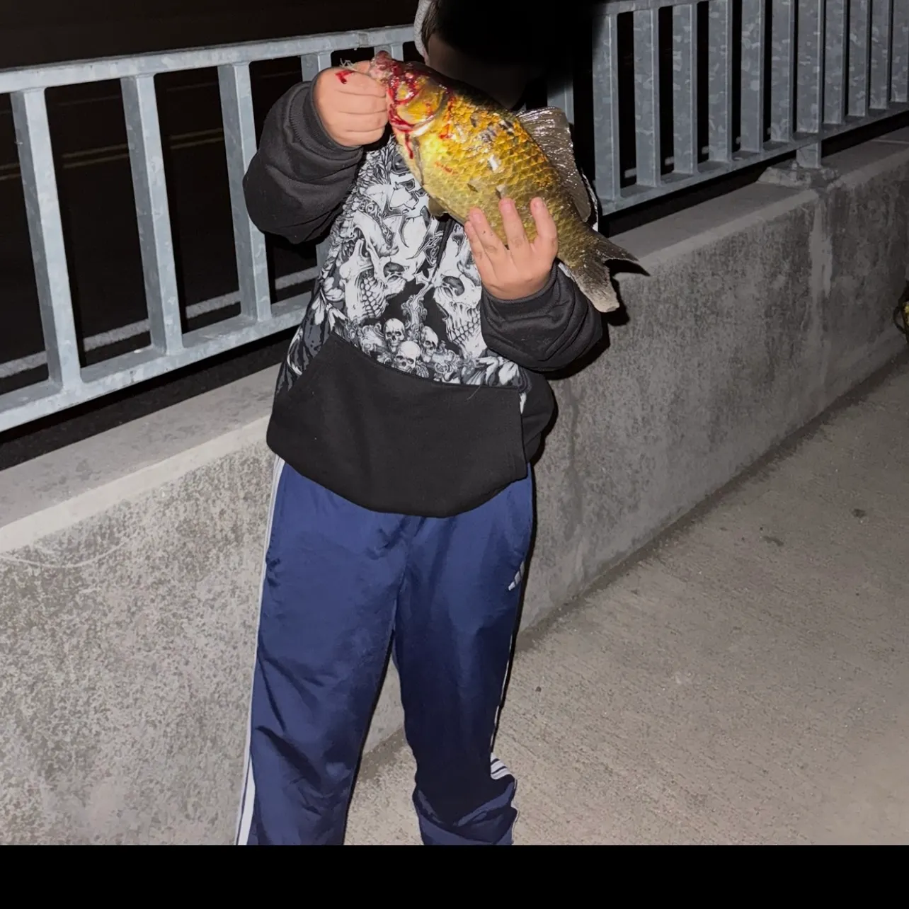 The most recent Crucian carp catches on Fishbrain