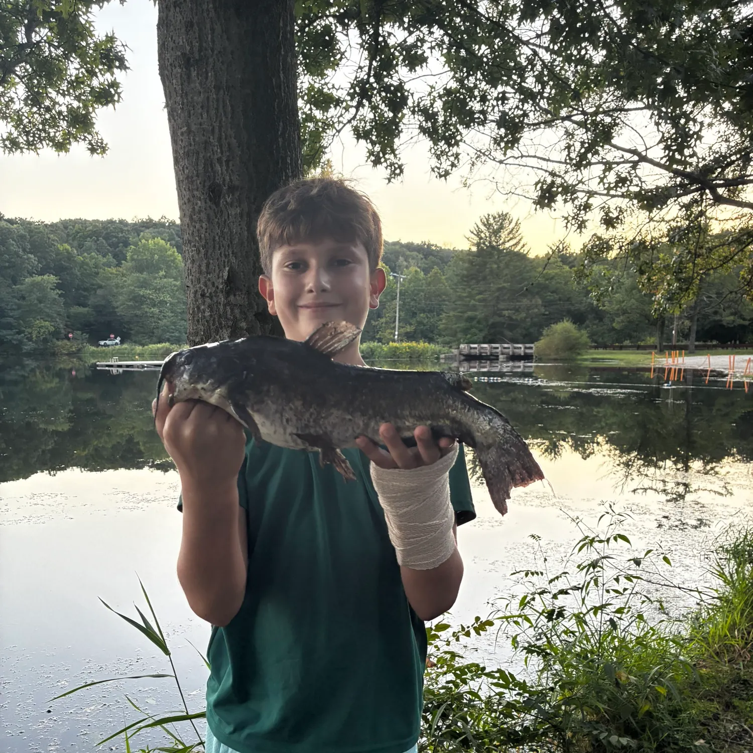 Channel catfish caught on Fishbrain