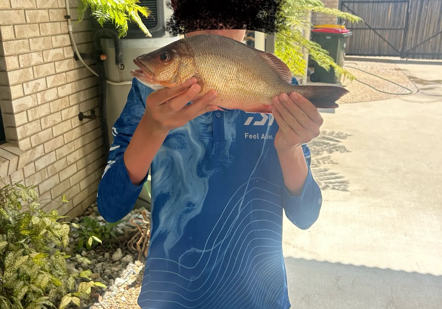 John's snapper