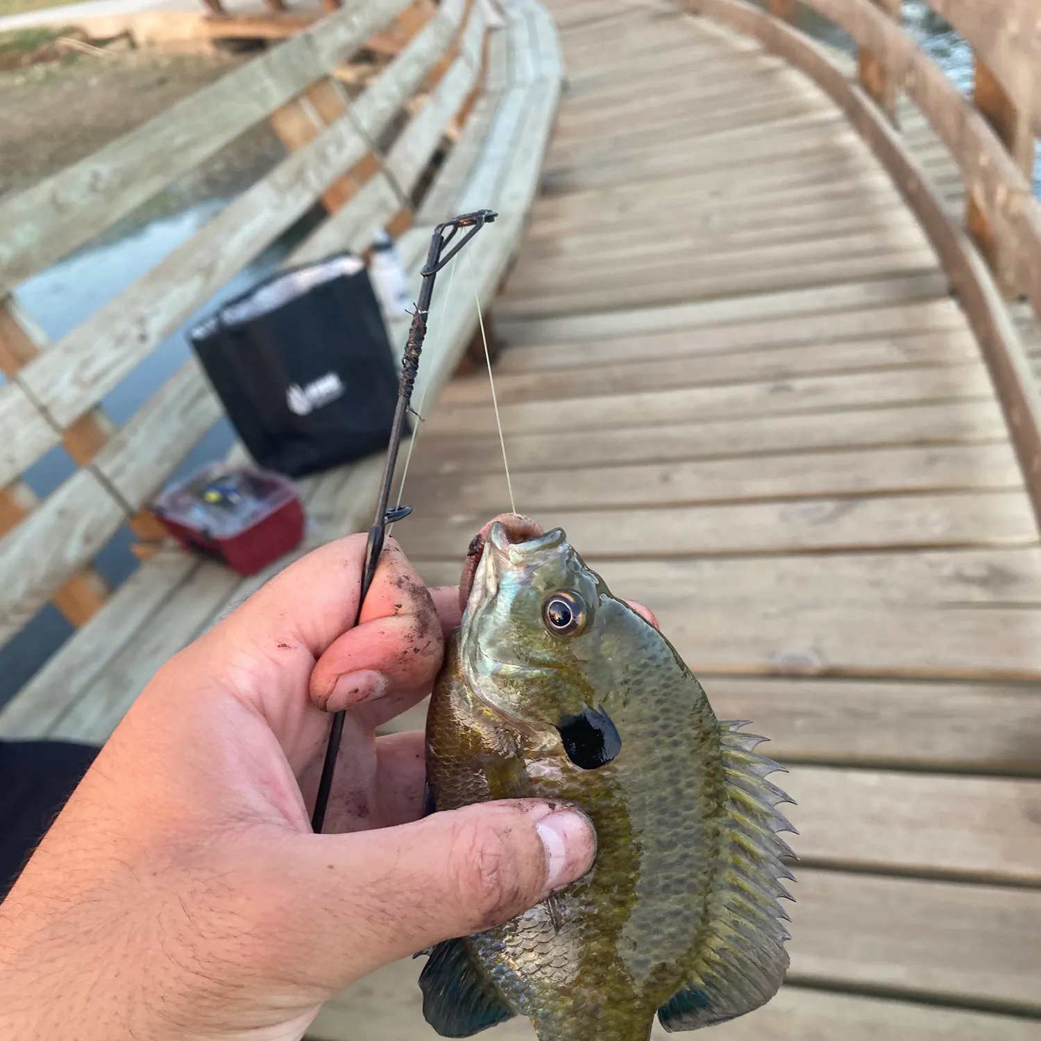 catch