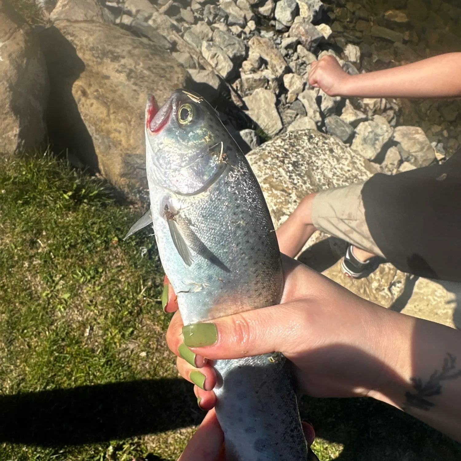 catch