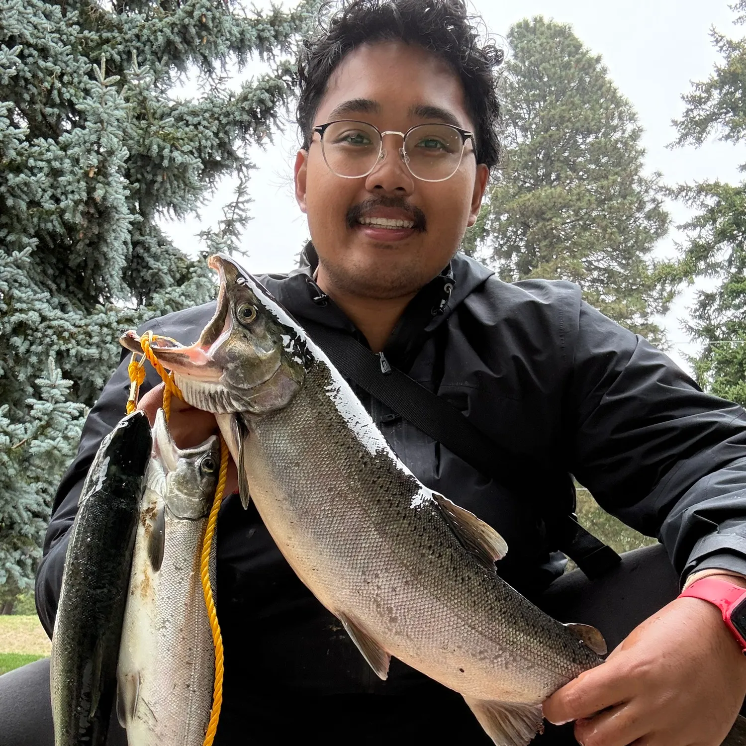 Coho salmon caught on Fishbrain