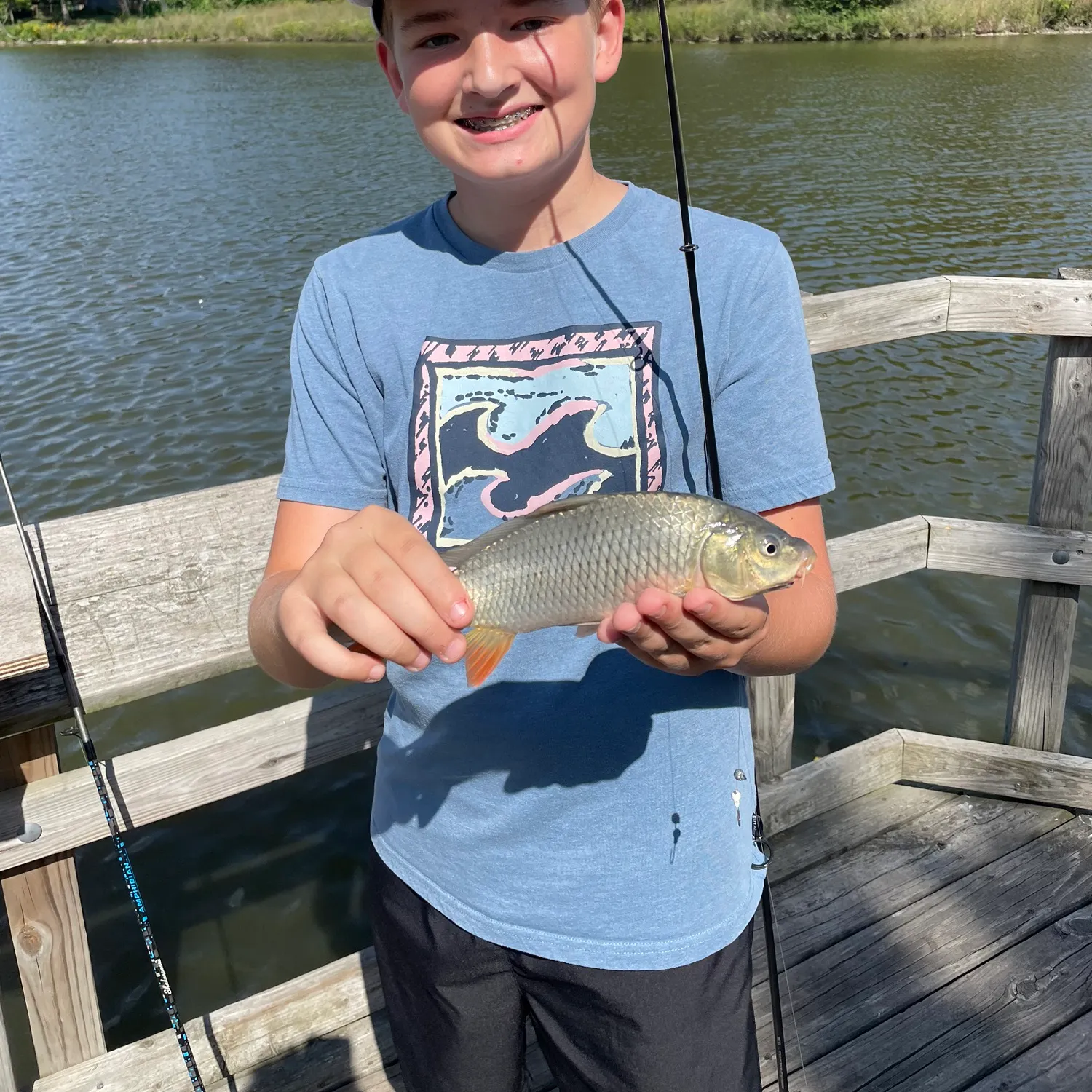 Common carp caught on Fishbrain