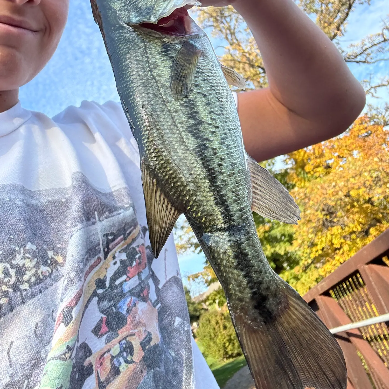 Spotted bass caught on Fishbrain