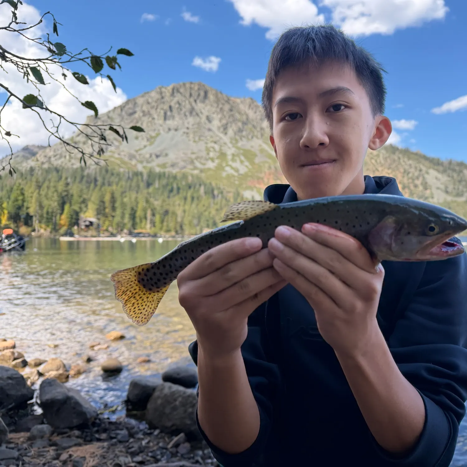 Lahontan cutthroat trout caught on Fishbrain