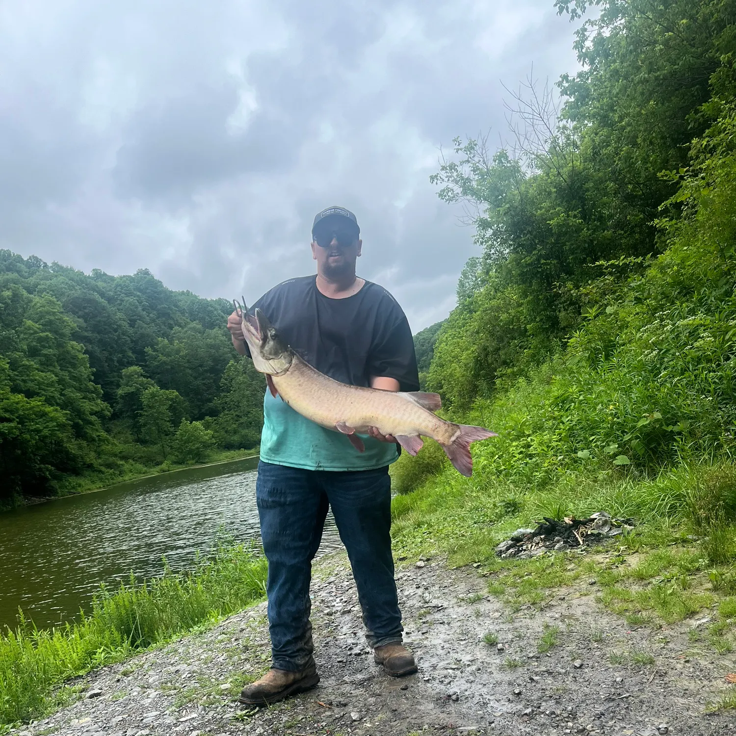The most recent Muskellunge catches on Fishbrain