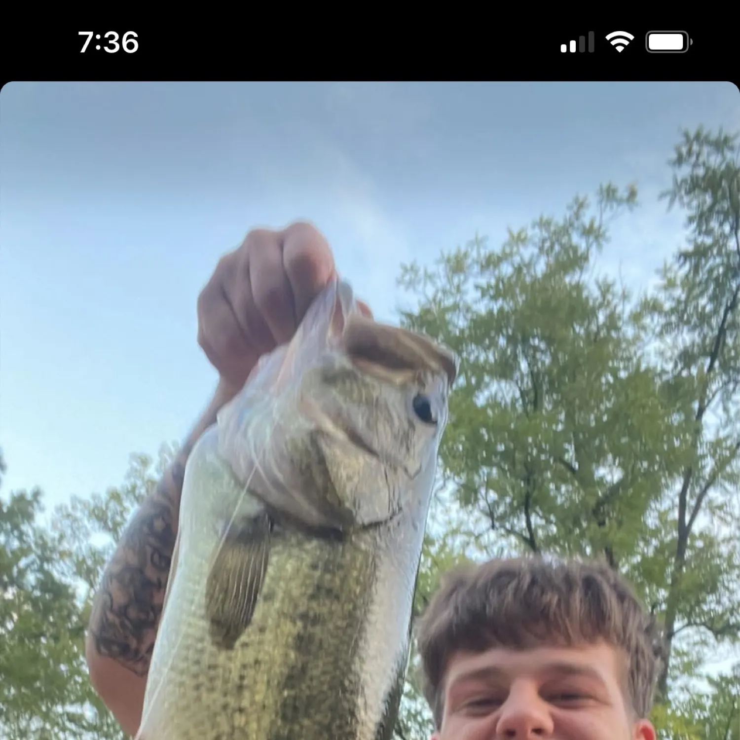 recently logged catches