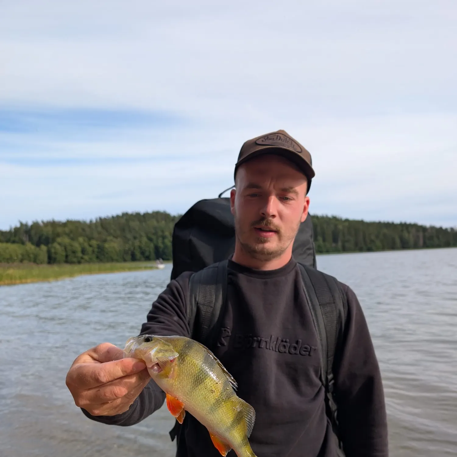 European perch caught on Fishbrain