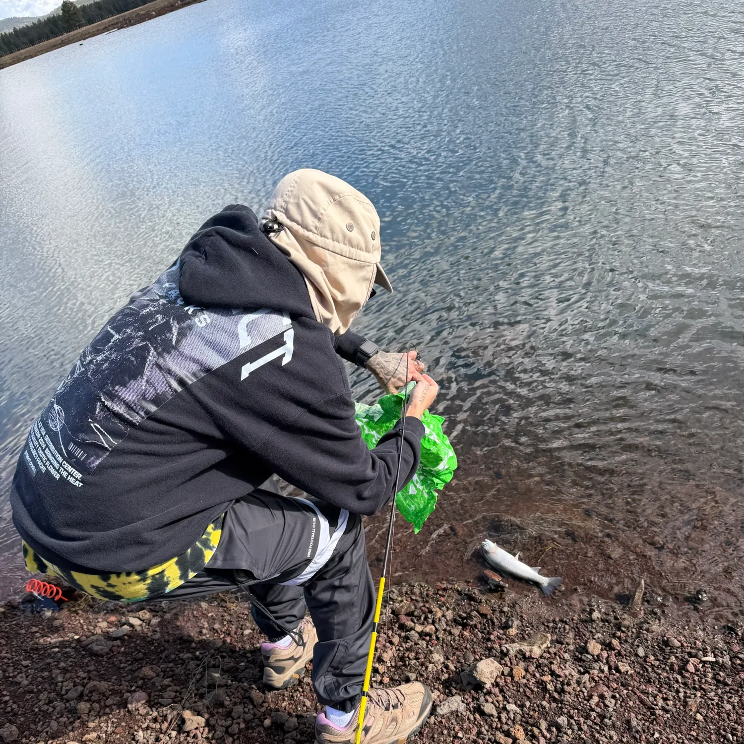 Rainbow trout caught on Fishbrain
