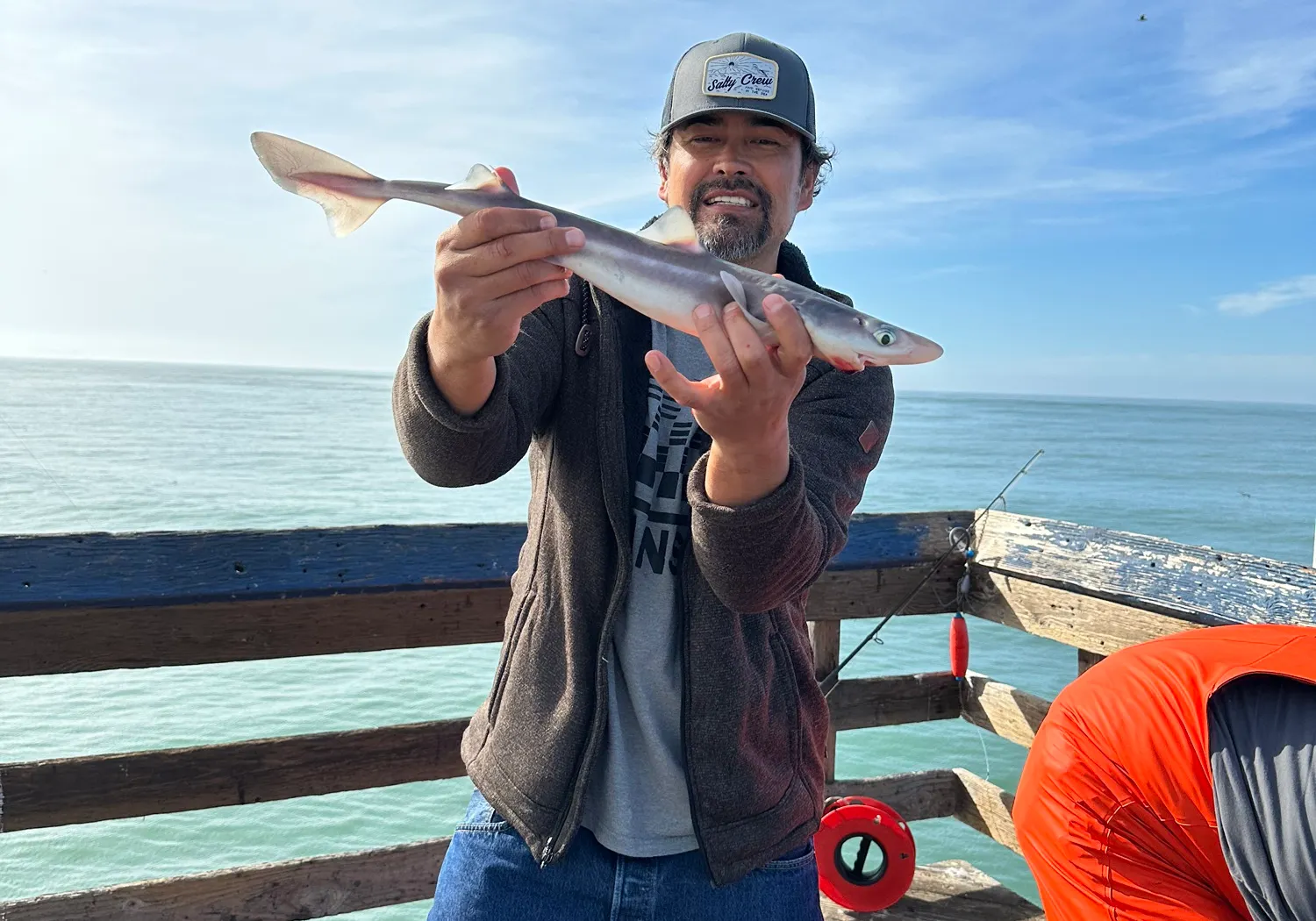 Pacific spiny dogfish