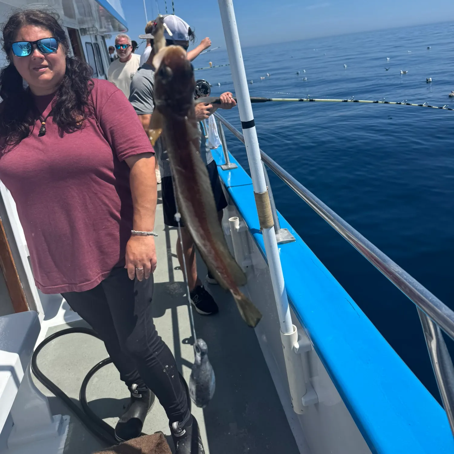 The most recent Silver hake catches on Fishbrain
