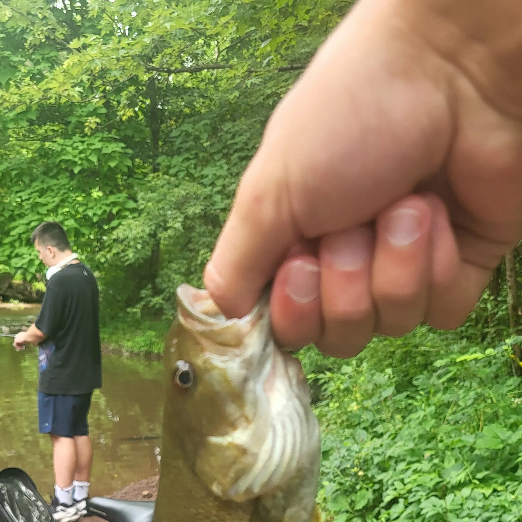 catch