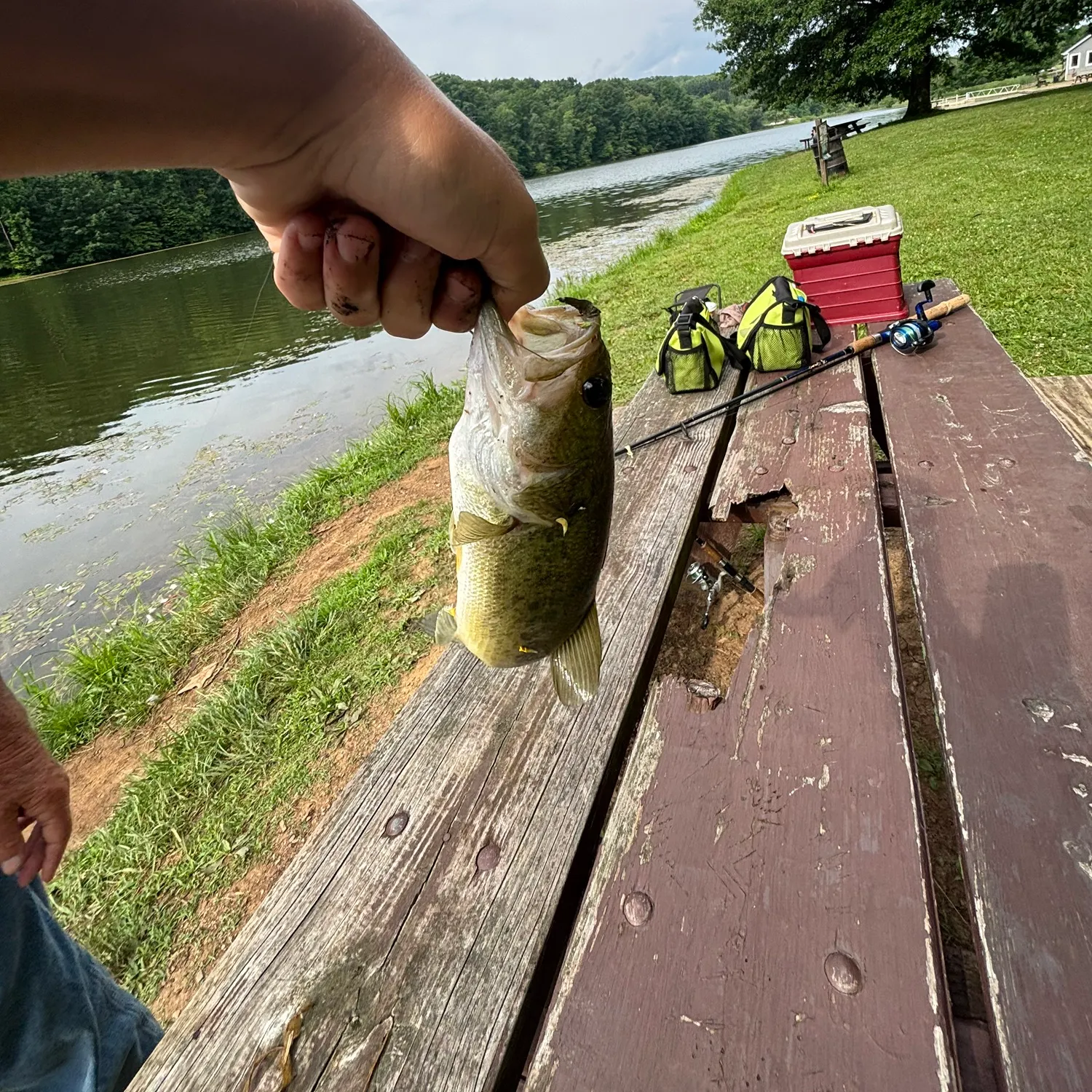 catch