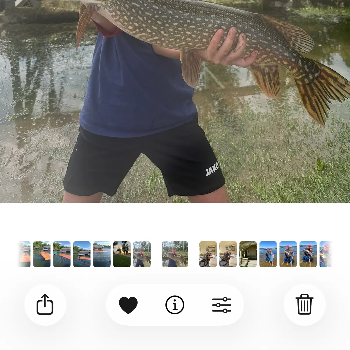 Northern pike caught on Fishbrain
