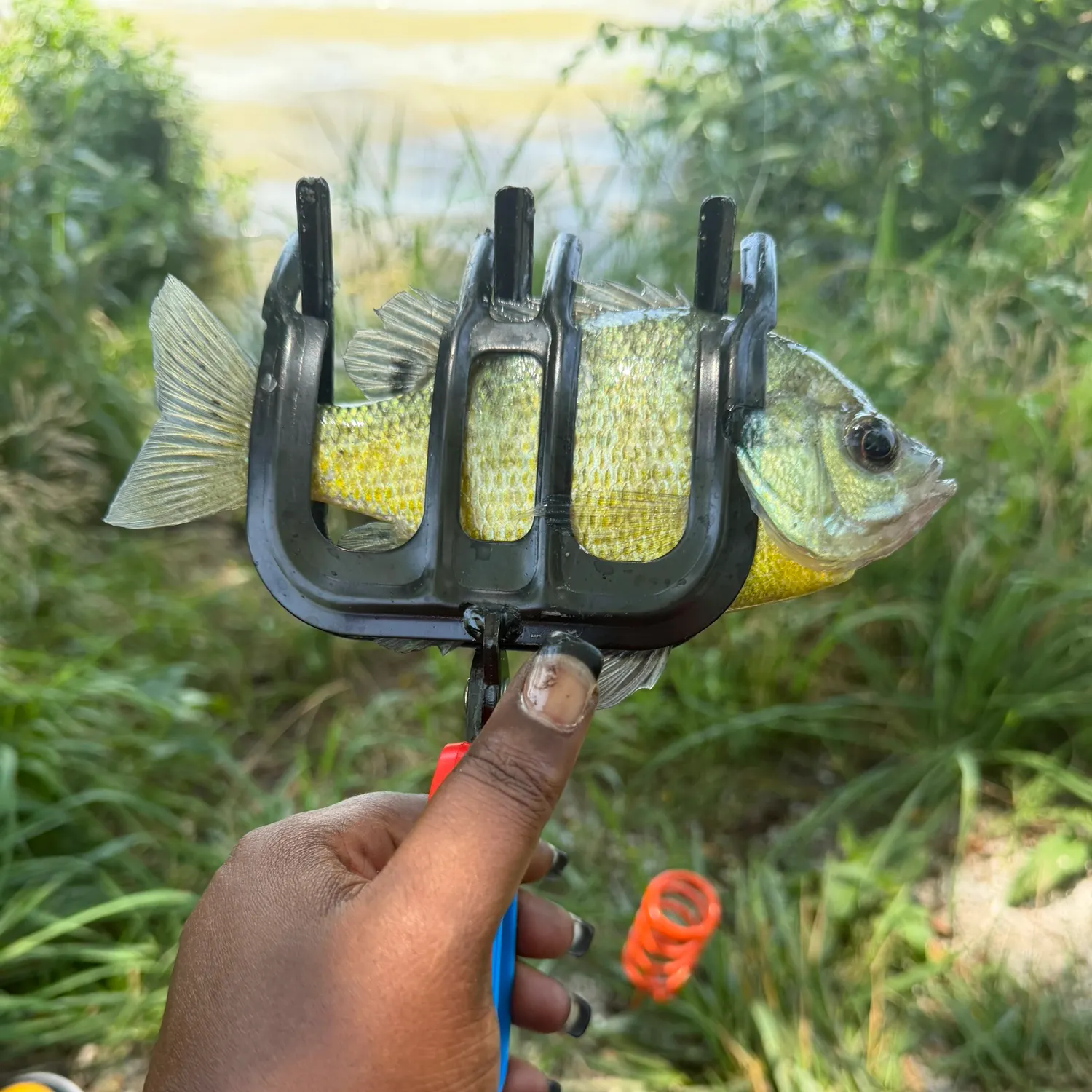 catch
