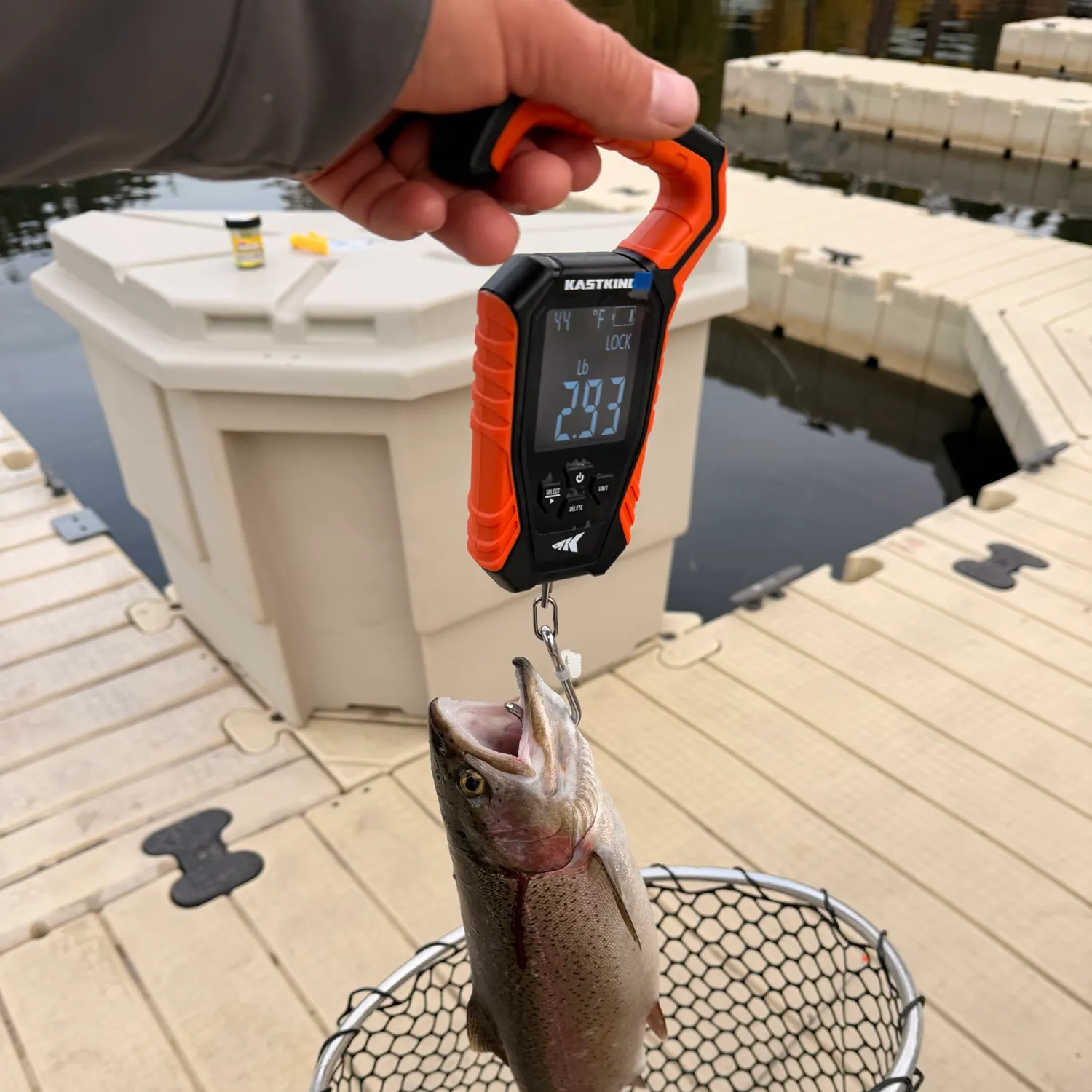 Rainbow trout caught on Fishbrain